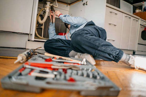 Best Local Plumber Services  in Maple Grove, MN