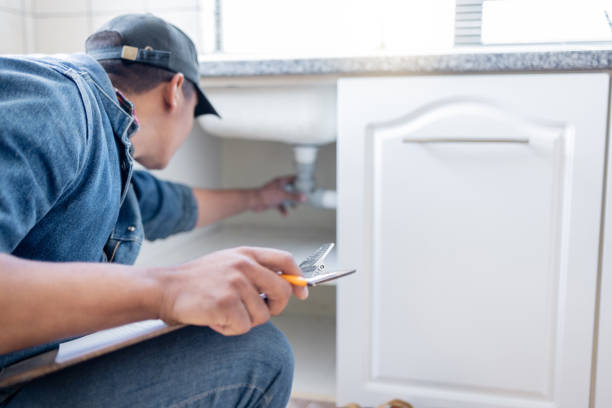 Best Plumbing Services Near Me  in Maple Grove, MN